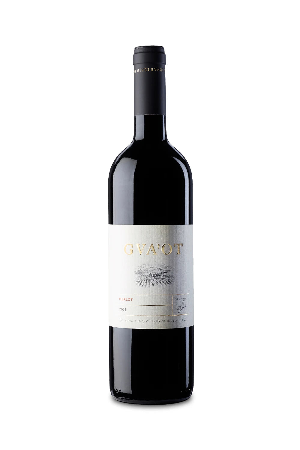 Gvaot Merlot
